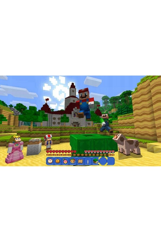 Minecraft Nintendo Switch PL