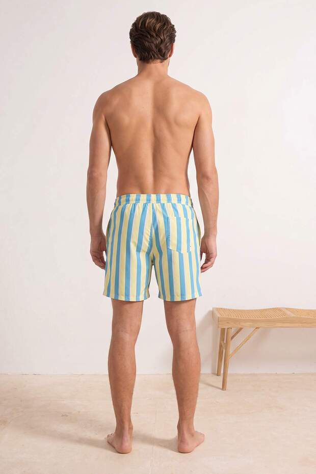 Sarı-Yeşil Çizgili Normal Boy Regular Fit Erkek Deniz Şortu TMNSS26DS00009 - 3