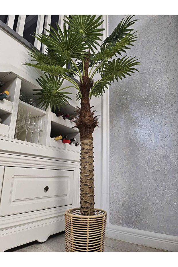 Palmier 150cm - 6