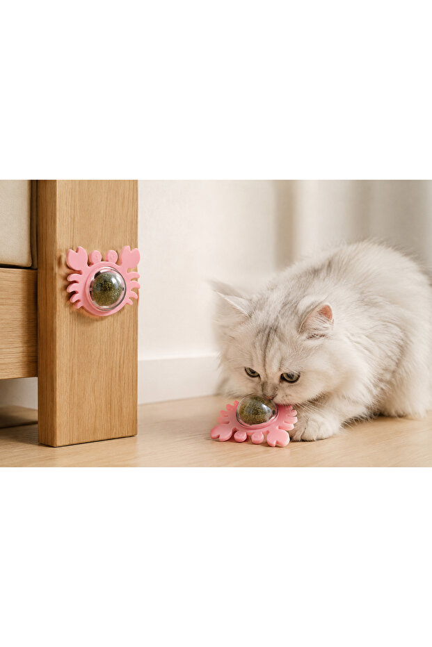 Crab Cat Herb Play Ball