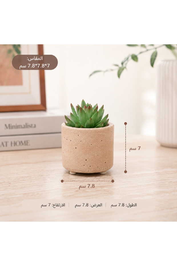 وعاء نباتات بتصميم من الحجر الطبيعي
