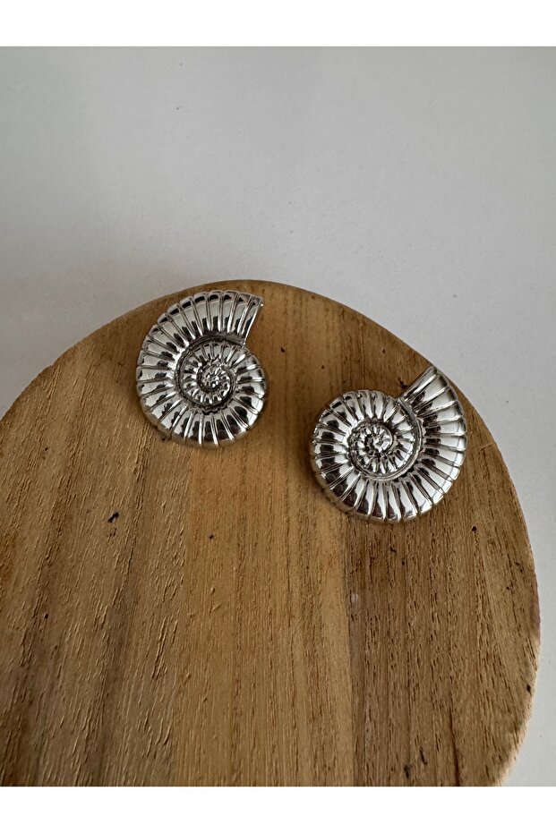 أقراط فضية على شكل صدفة البحر