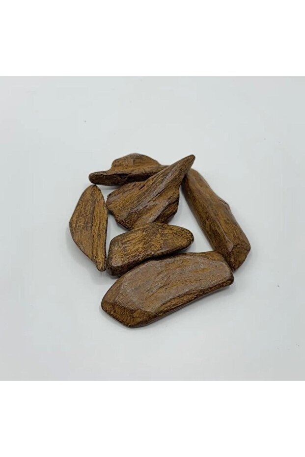 ماروكي أسقون (موري)