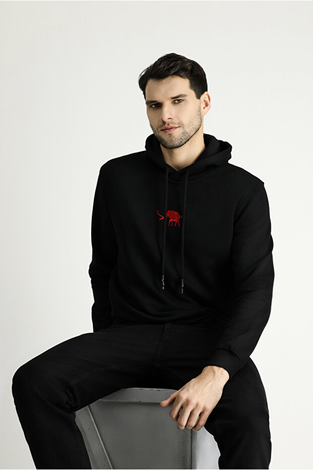 Hooded Regular Fit Cotton Embroidered 3 Thread Sweatshirt