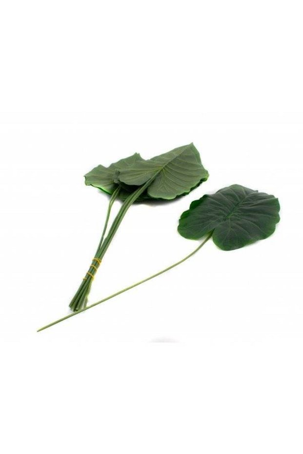 Frunze 12/Set 26cm