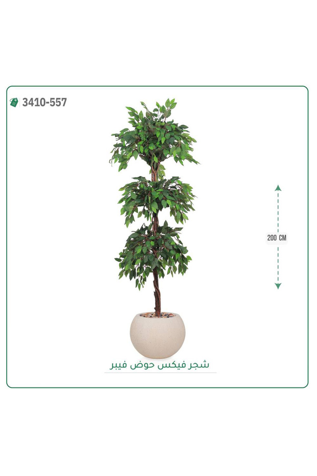 شجر فيكس صناعية حوض فيبر { ارتفاع 200 سم }
