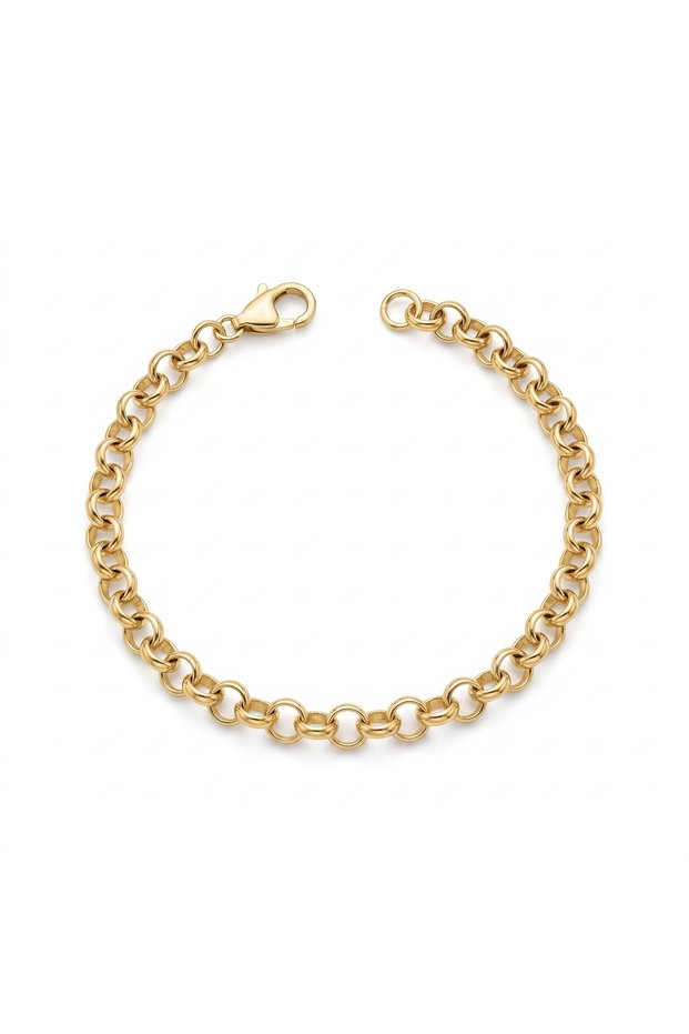 Thin Chain Stainless Steel Women's Bracelet Gold | It Doesn'T Get Dark | Special Boxed