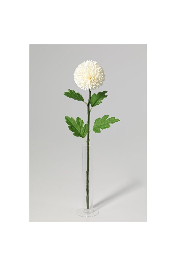New In Fernza White Ping Pong Chrysanthemum Single Stem White H54Cm