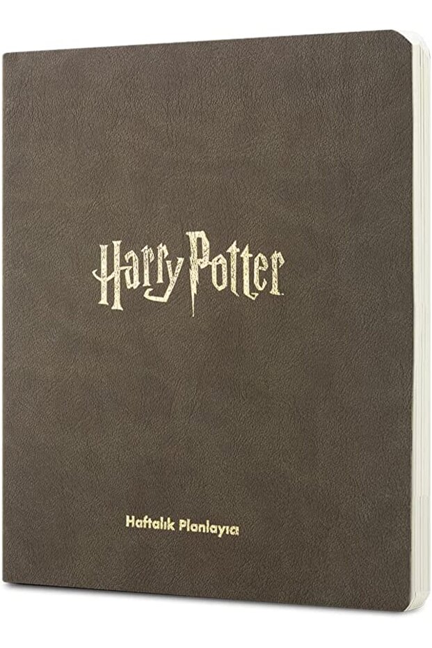 Harry Potter 15x17cm Undated Agenda Dark Green