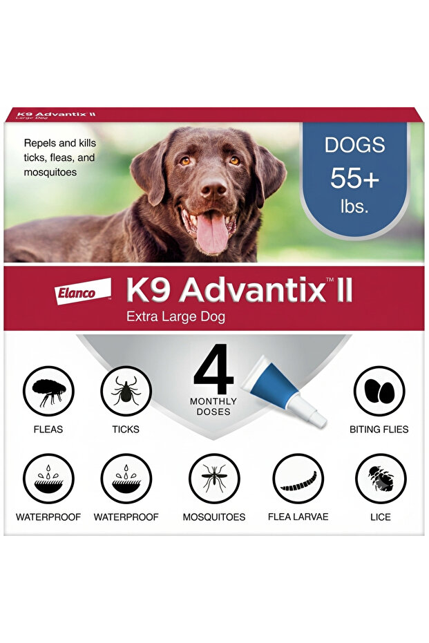 K9 II (55+ lbs / 25+ kg)