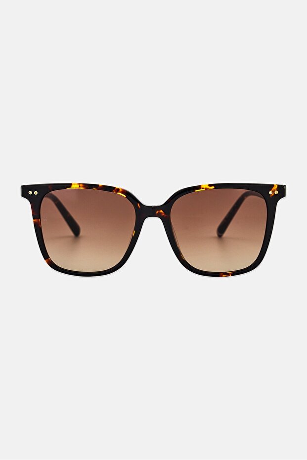 Women TH 2211/S Square Sunglasses, Black