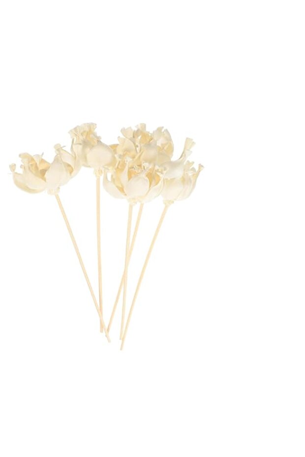 5pcs Room Freshener Sticks Essential Oil Accessories Rattan Reed Sticks Scented Oil Sticks Scent Diffuser Sticks Diffuser Reeds Replaceable Tool Dried Flowers