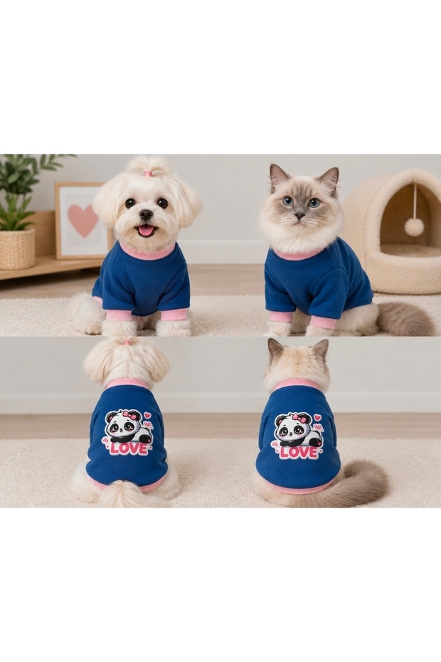 Dog and Cat Blue Printed Sweatshirt
