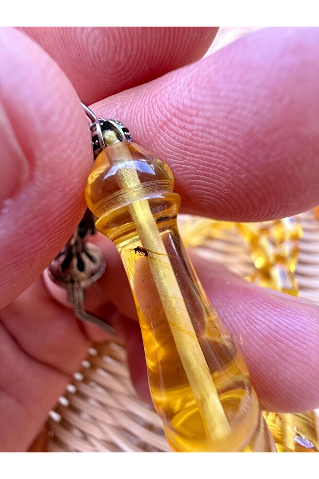 Original Fly from the Rock 🪰 Fossilized Amber