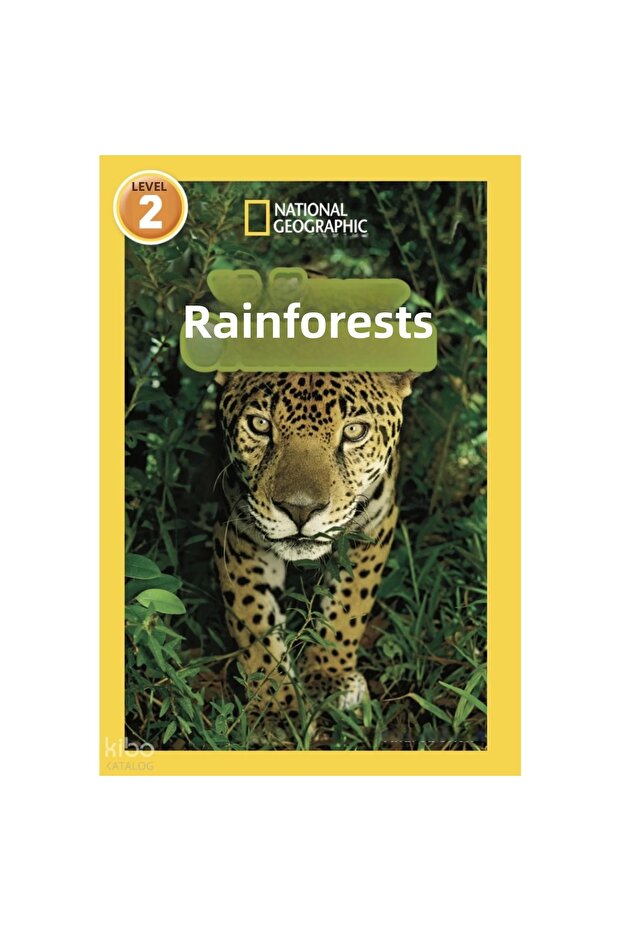 Rainforests