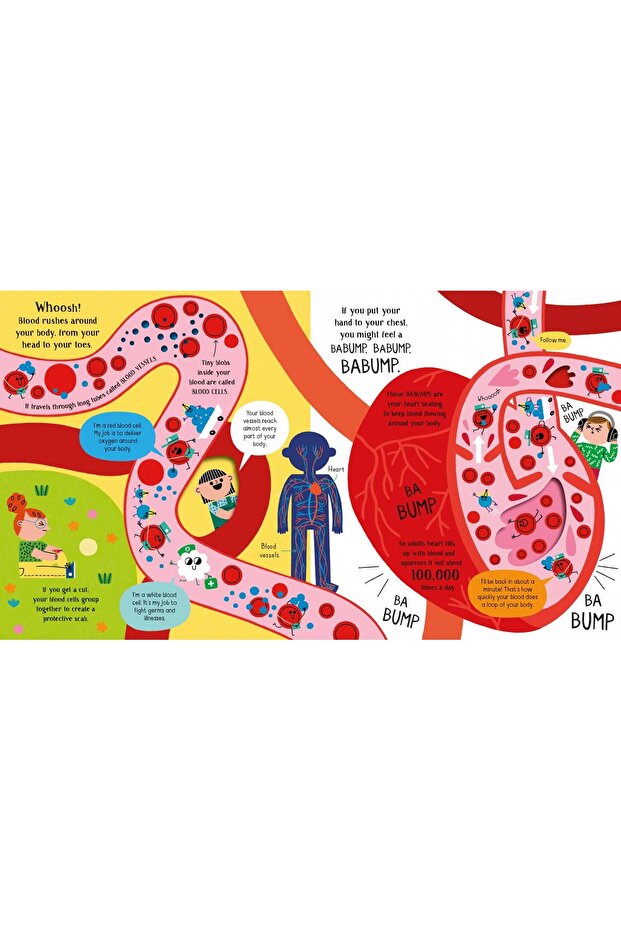 Step Inside Science: Your Body - 7
