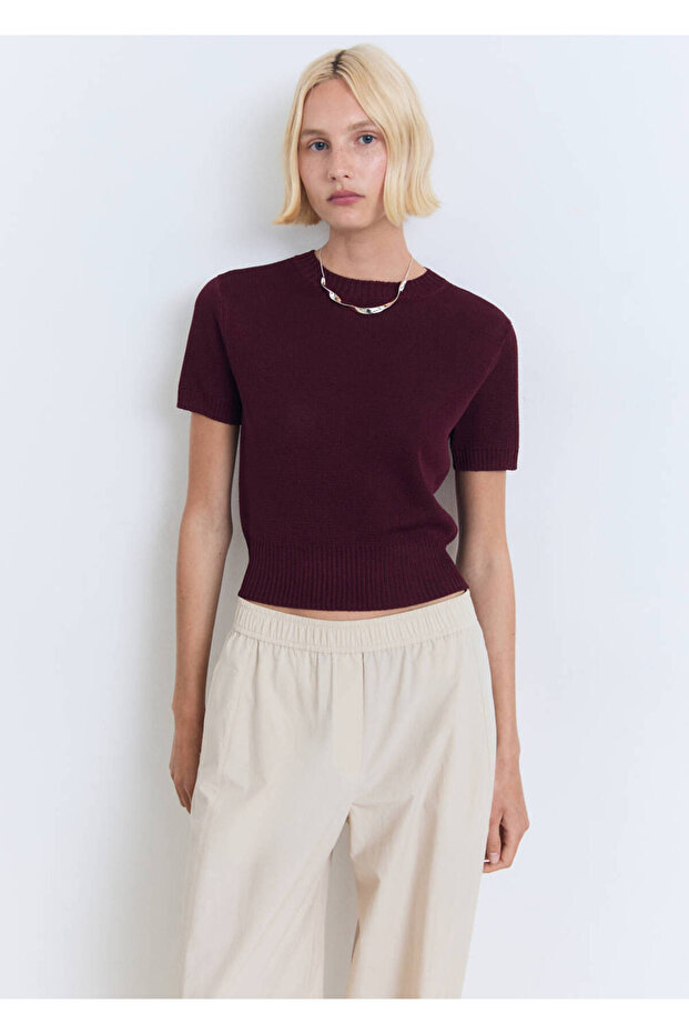 Short Sleeve Crop Sweater