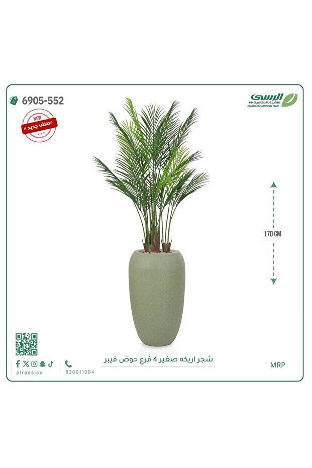 شجرة أريكا صناعية حوض فيبر { ارتفاع 170 سم }