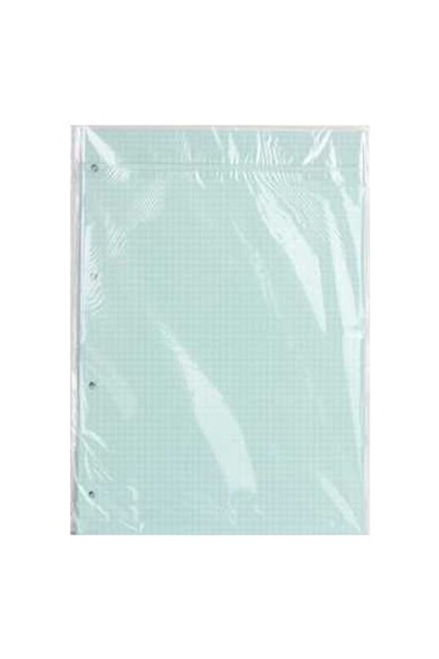 College Refill A4 Checkered Green - 3 Pieces