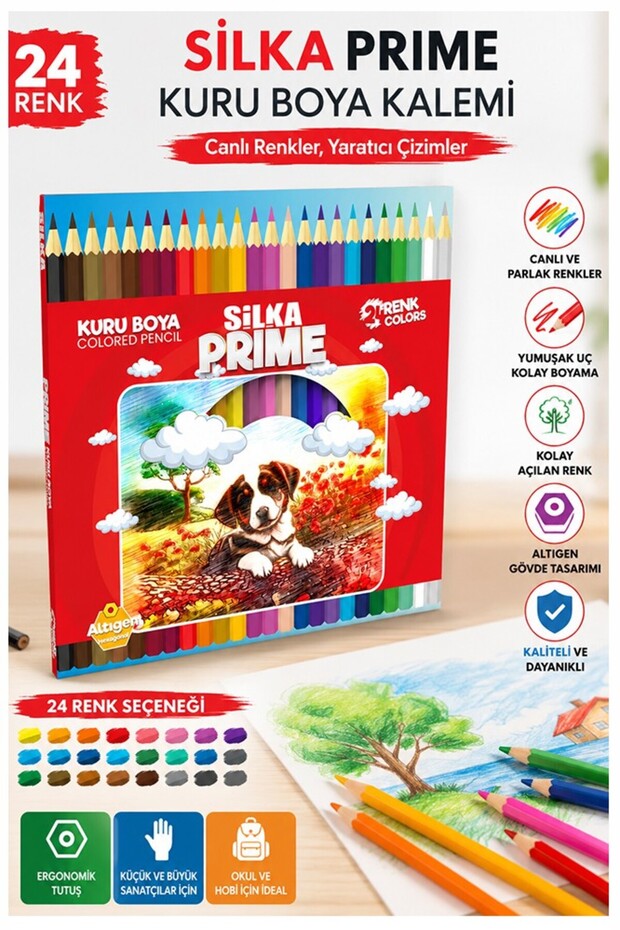 24-Piece Dry Crayon Carton Box 1 Pack Silka 24 Colors Dry Crayon Full Size Vibrant Color Crayon Ok