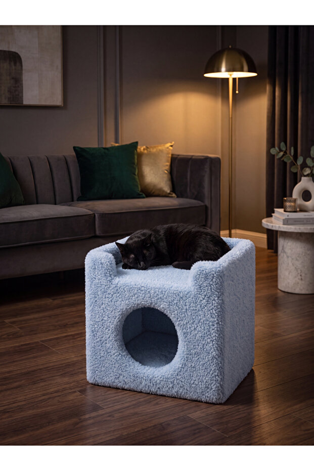 Paris Kedi Evi