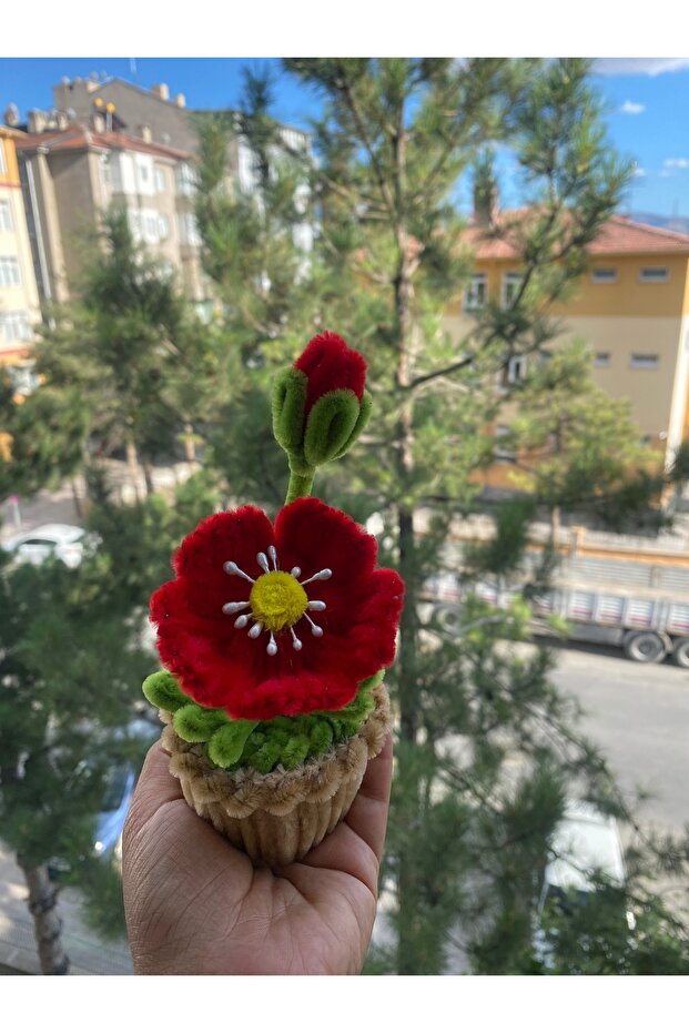 Şönil çiçek