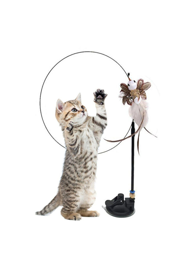 Furry Bell Fishing Rod Cat Toy with Suction Cup