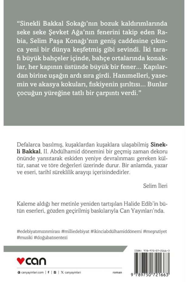 Sinekli Bakkal - 3