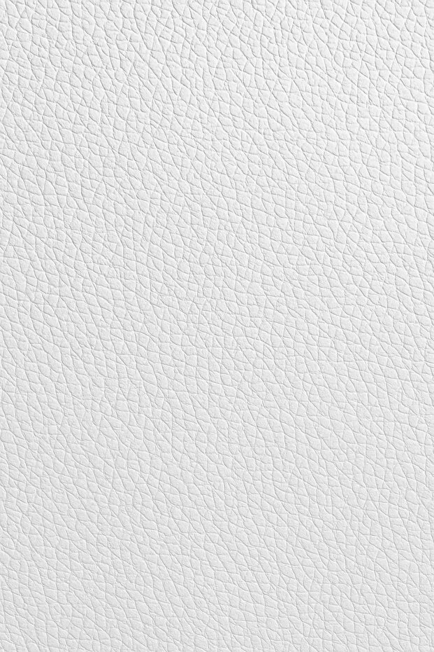 Goose Mens Sneakers