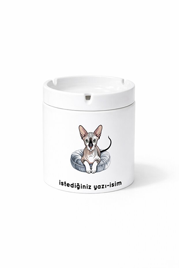 Animal Peterbald Hairless Cat Russian Cat Double-Sided Printed Porcelain Magic Mug Cup