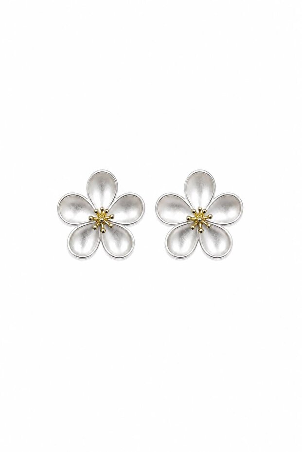 Soleaa Collection - 1