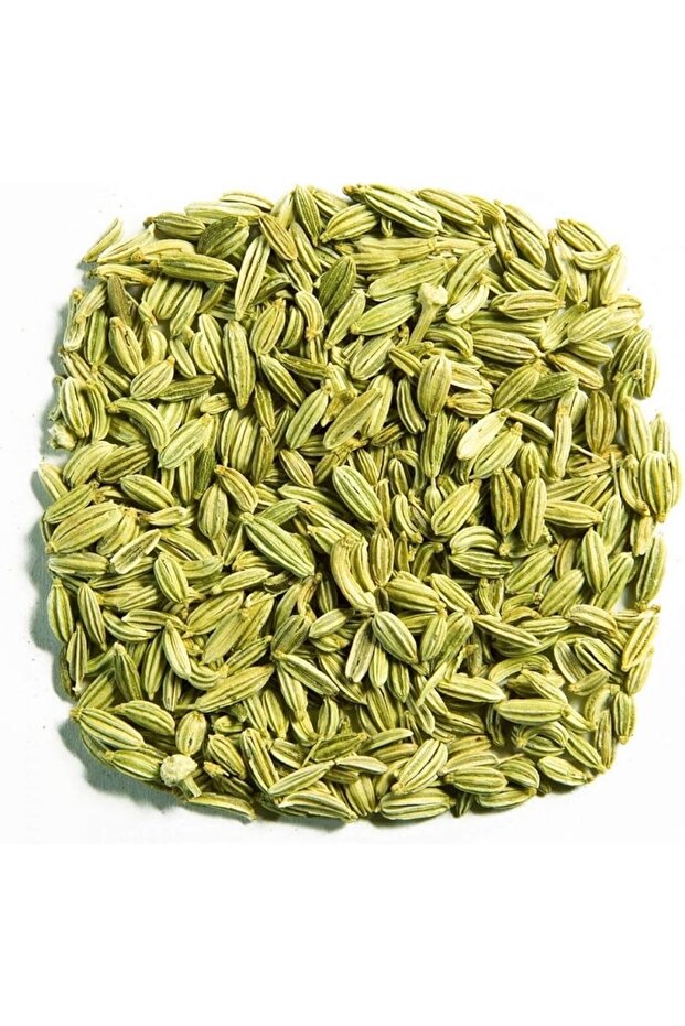Fennel (saunf) - 1