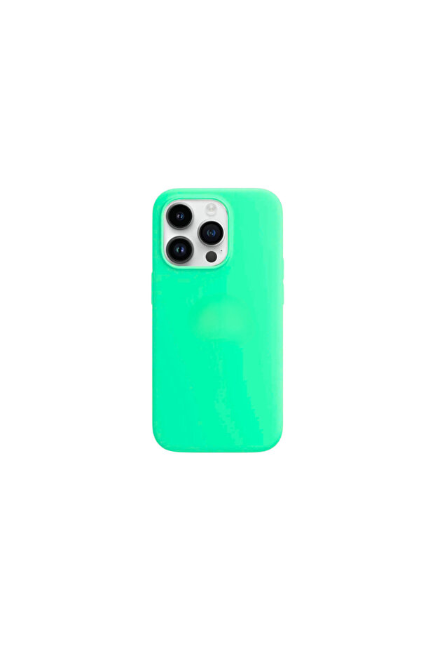 Husa compatiibla iPhone 16 Pro - 1