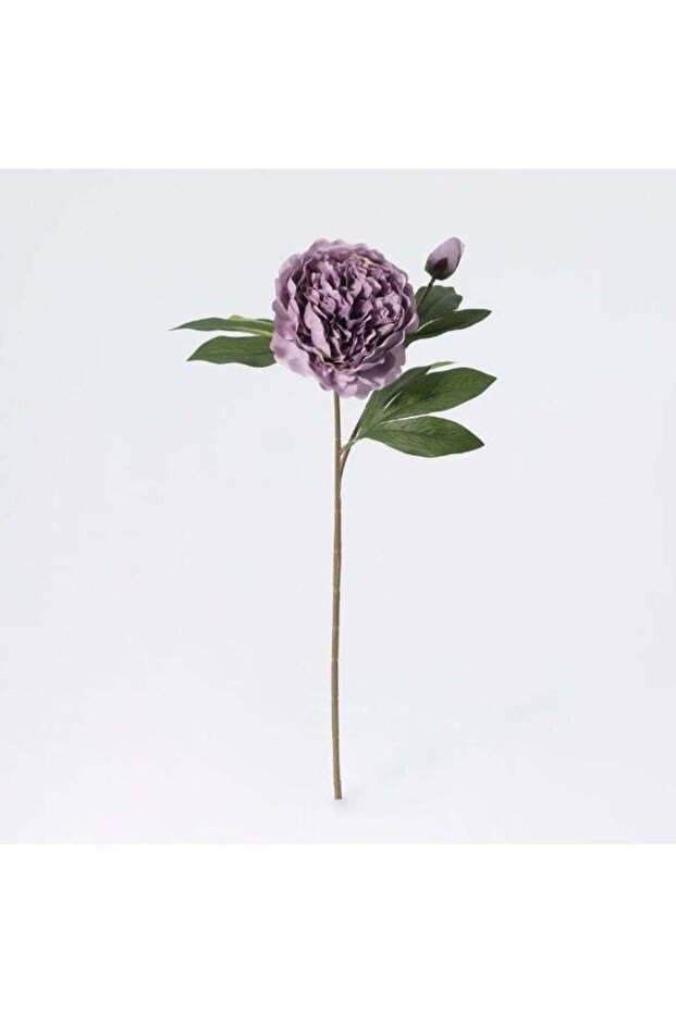 Fernza Artificial Peony Purple Reddish Violet Single Stem Flower H58cm