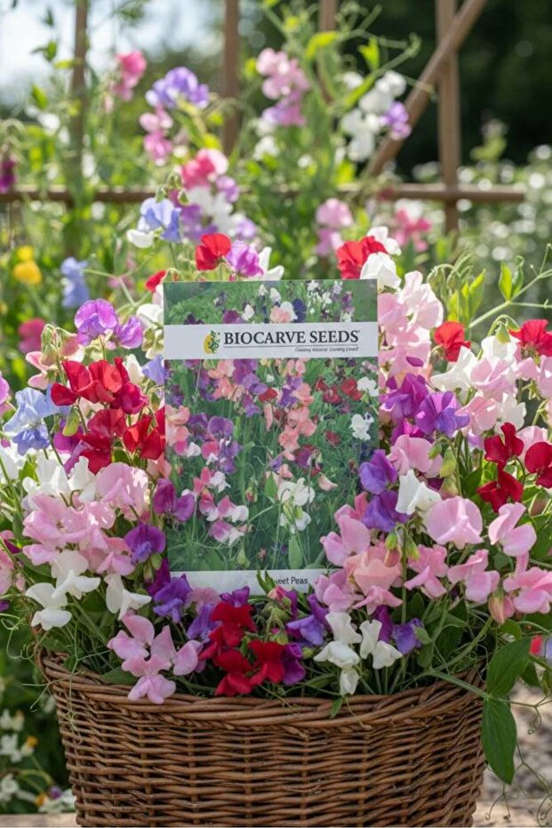 sweet peas mixed