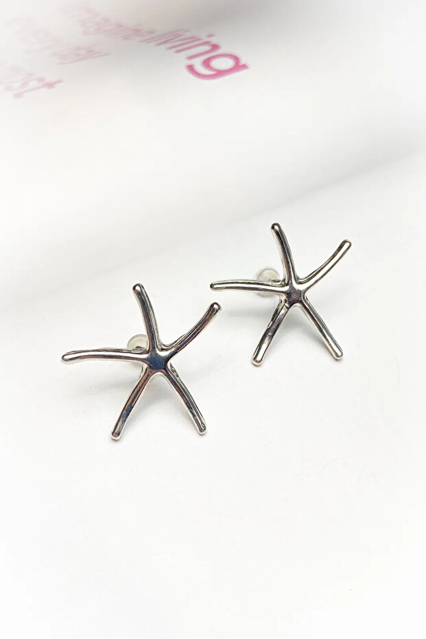 Star Design Silver Color Earrings