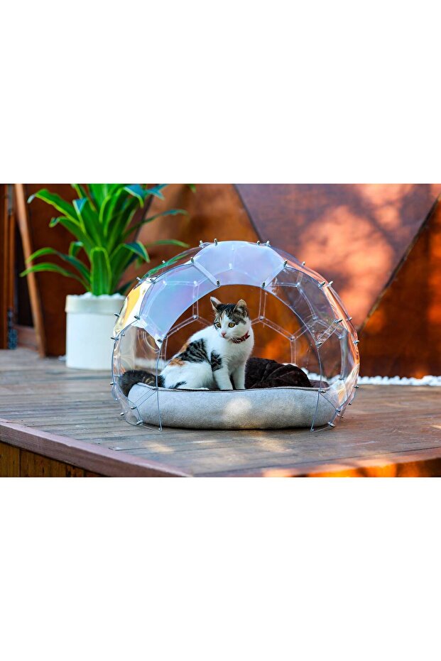 ŞEFFAF KEDİ EVİ DOME