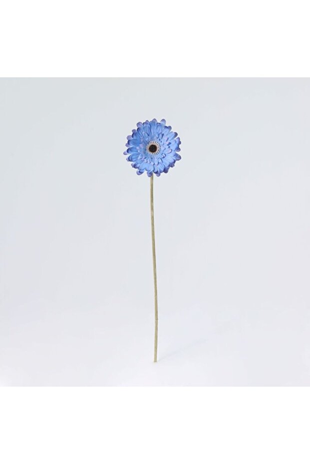 New In Fernza Gerbera Daisy Single Stem Blue H52Cm