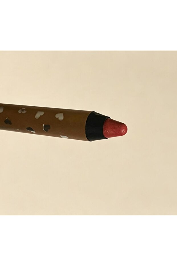 Lip Liner No. 17