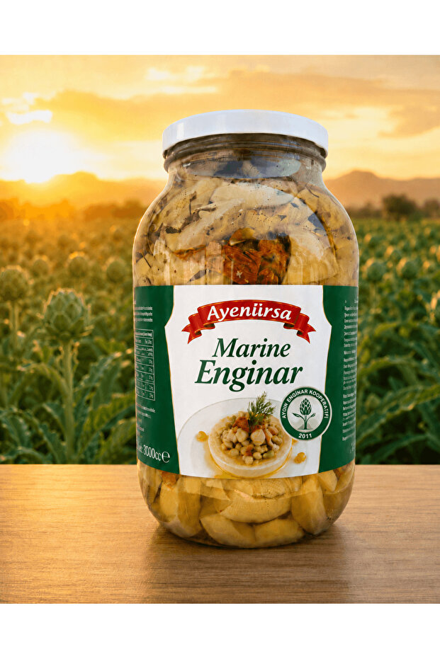 3000 Cc Marine Enginar