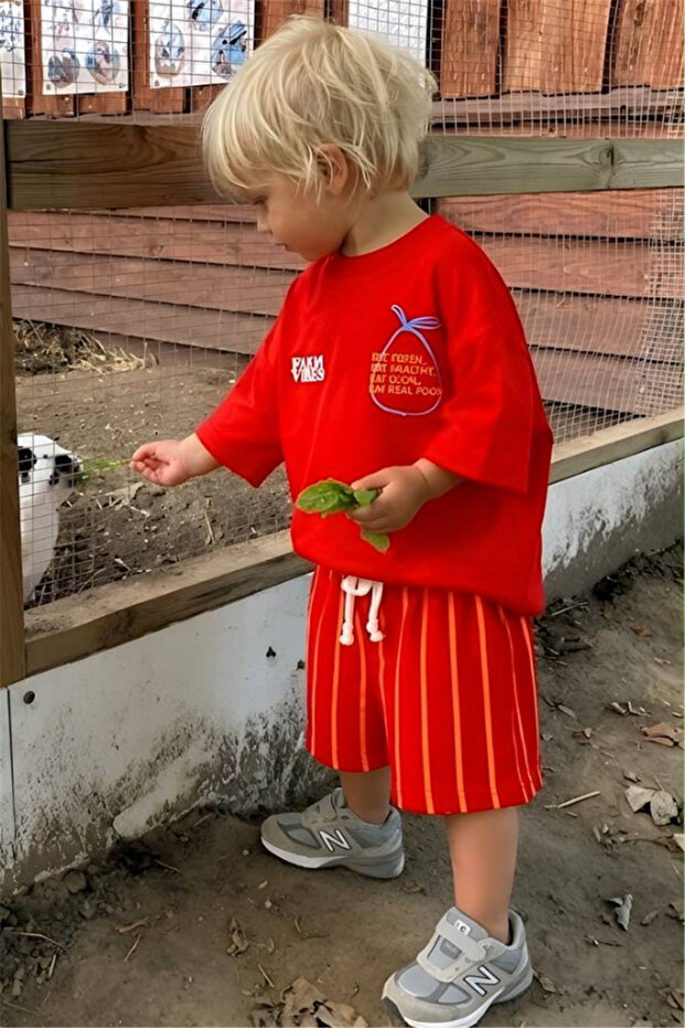 Boy's Back Printed T-Shirt and Shorts Set Red