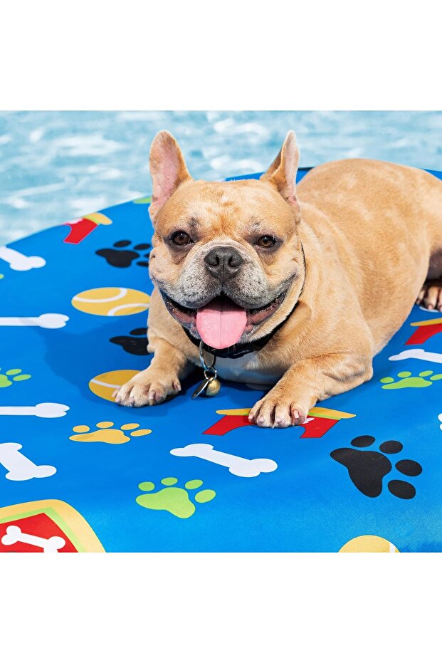 Fetchin' Fun Pet Pool Float - 6