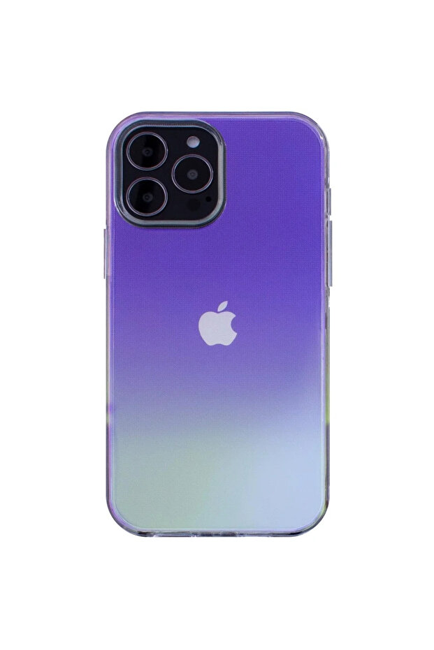 Cazul Aurora - 2