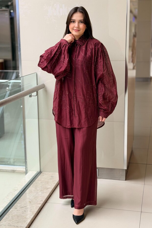 Random Sim Thread Embroidered Organza Shirt and Pants Set