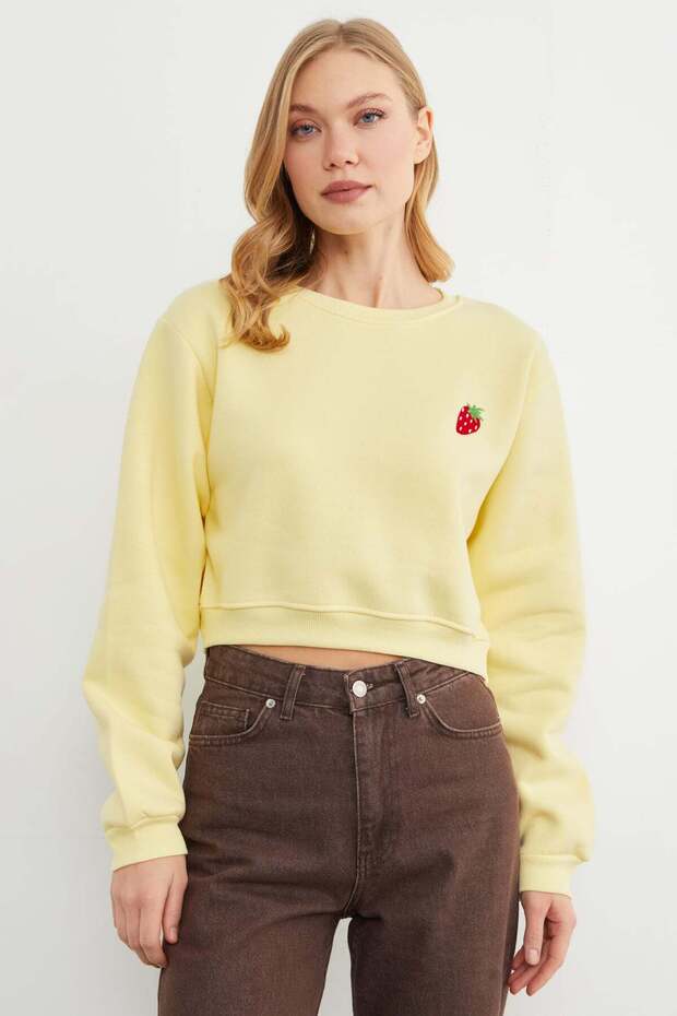 3 Thread Strawberry Embroidered Crop Sweatshirt
