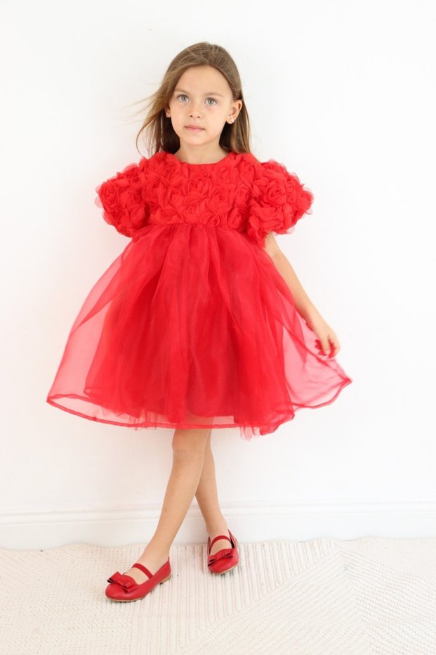 Red Rose Detailed Tulle Skirt Girl's Dress - Nelia