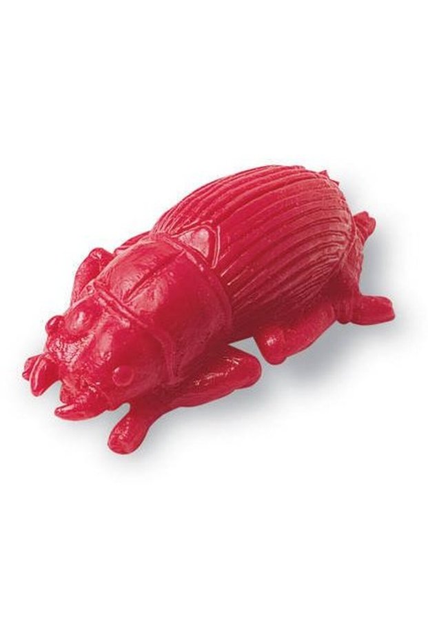 Insecte de gradina pentru numarat - set 72 buc