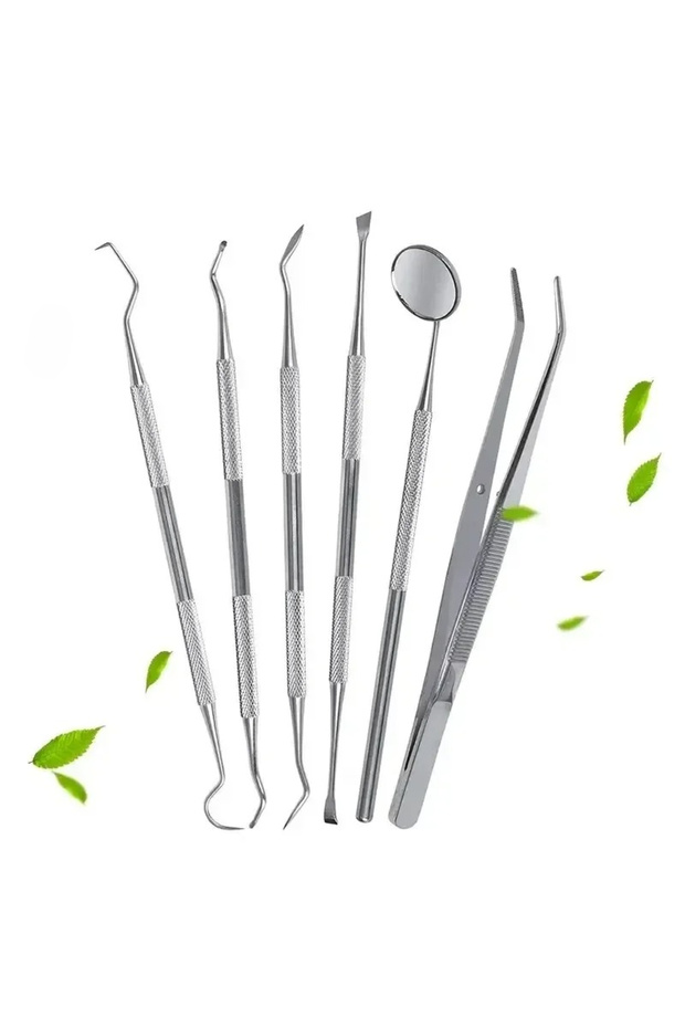 6pcs 4/6PCS Stainless Steel Dental Tool Set Dental Oral Care Endoscopic Cleaning Calculus Remover To