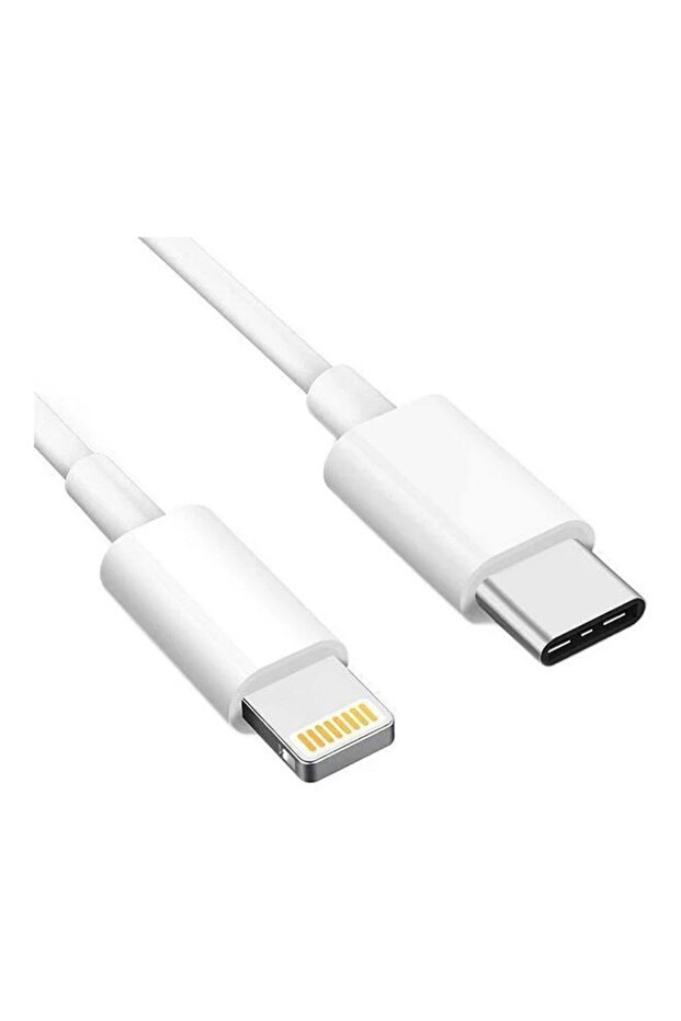 Lotus 10 Type-C to Lightning Charging Cable (1 Meter)