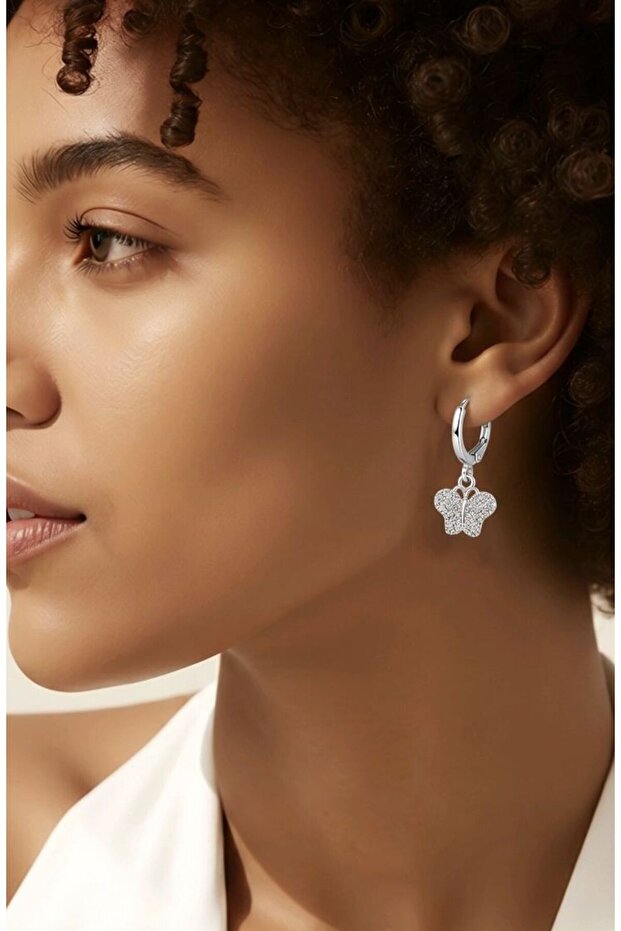 Figured Silver Color Zircon Stone Earrings